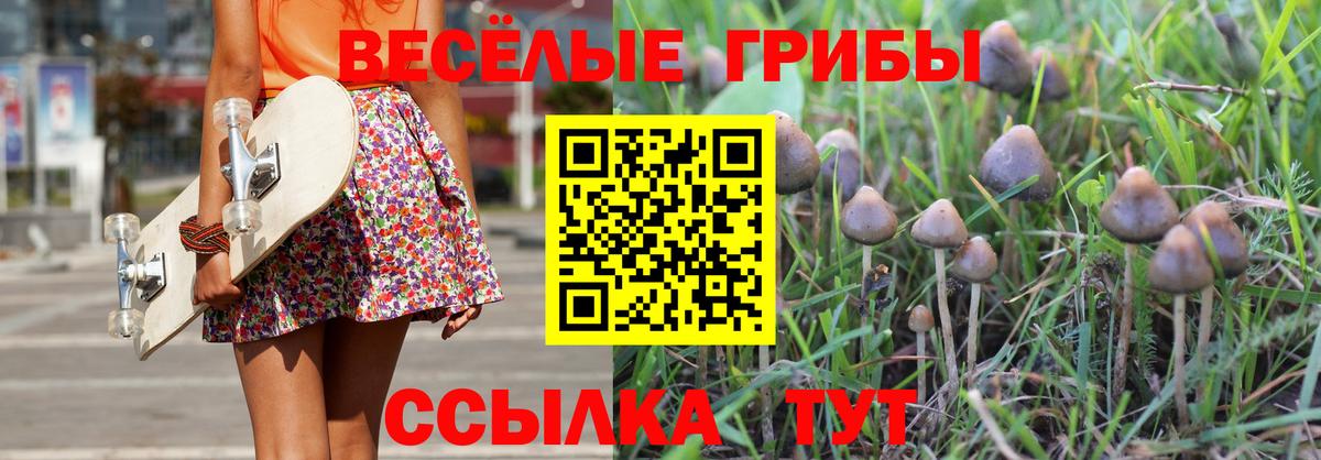 Псилоцибиновые грибы MAGIC MUSHROOMS Когалым