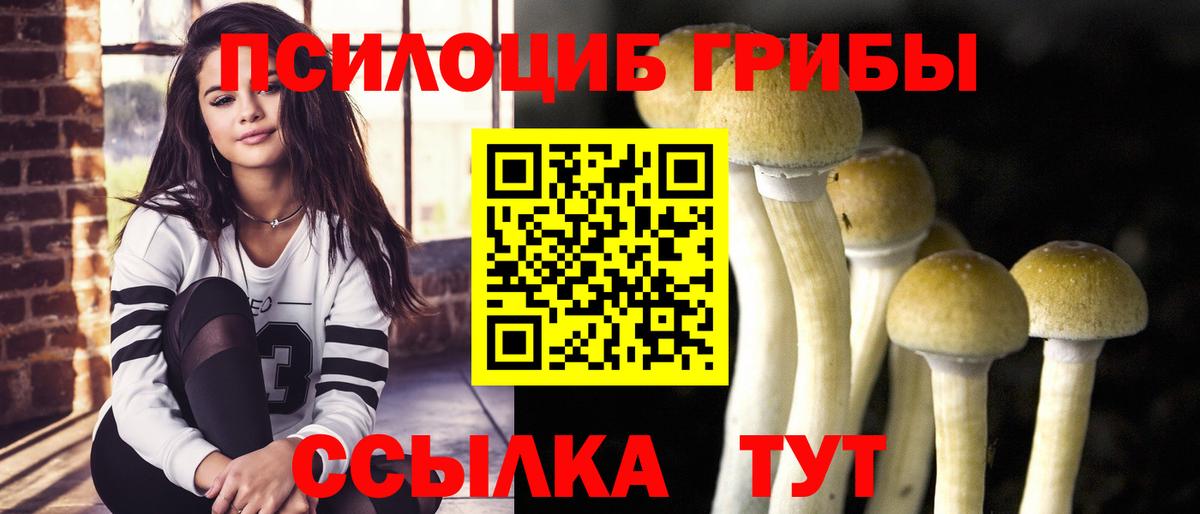 Псилоцибиновые грибы прущие грибы  Вход с VPN  где купить наркоту  Когалым 
